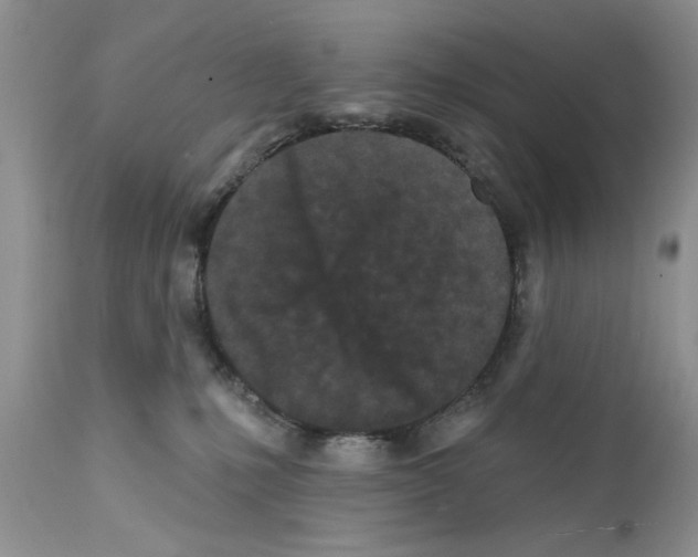 X0000111670231200908281119