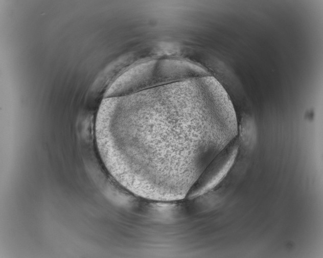 X0000111670233200908281119