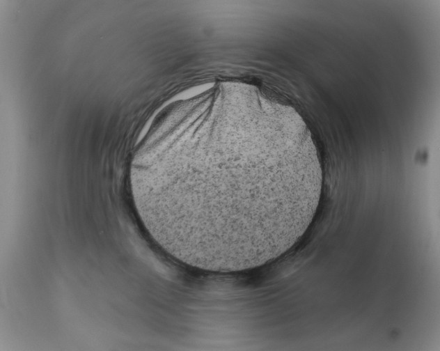 X0000111670235200908281119