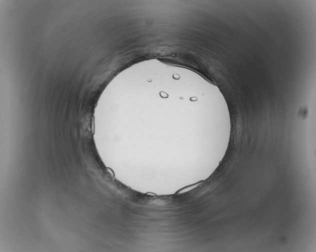 X0000111670236200908281119