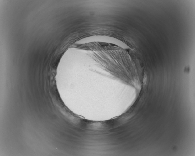 X0000111670237200908281119