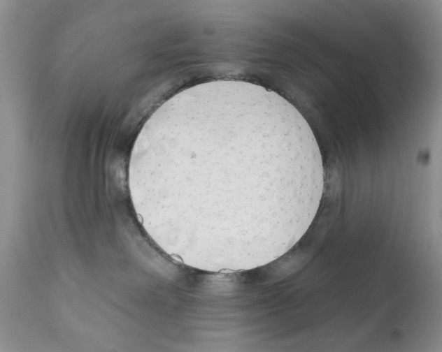 X0000111670238200908281119