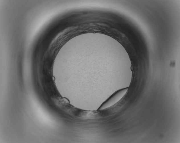 X0000111670239200908281119