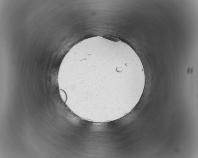 X0000111670240200908281119