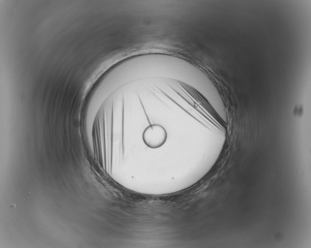 X0000111670244200908281118