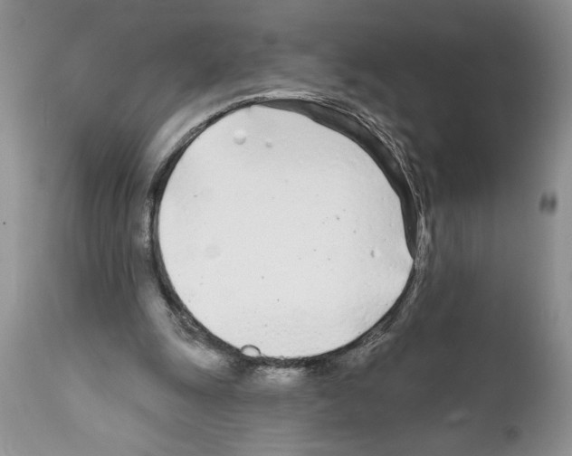 X0000111670247200908281118