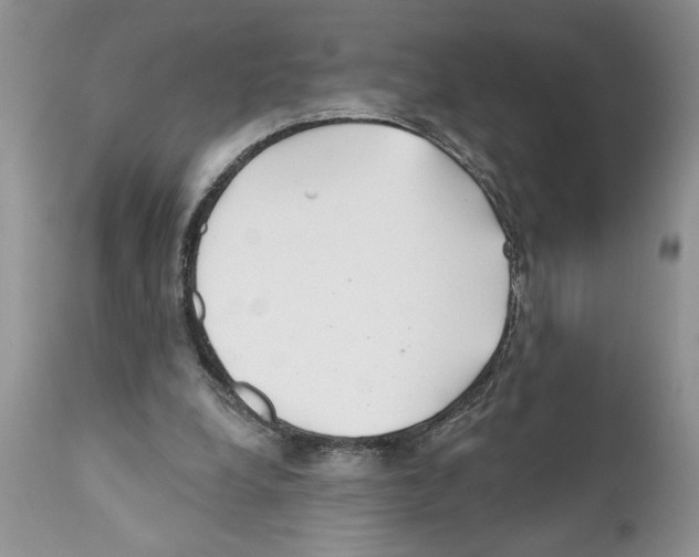 X0000111670248200908281118