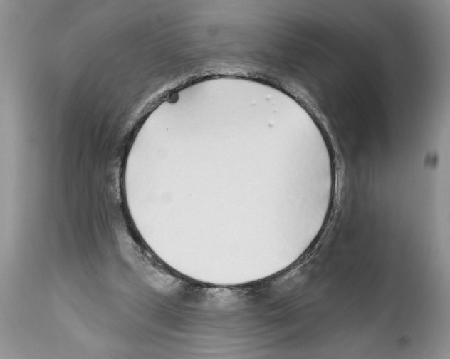 X0000111670249200908281118