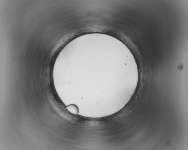 X0000111670250200908281118