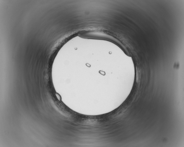 X0000111670252200908281118