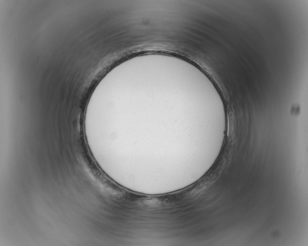 X0000111670253200908281118