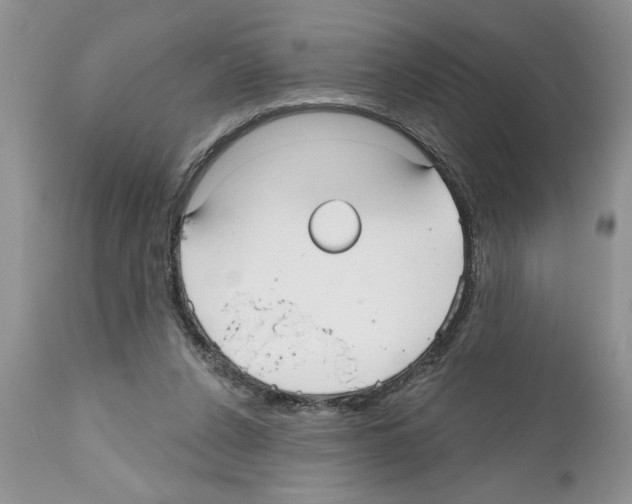 X0000111670256200908281118