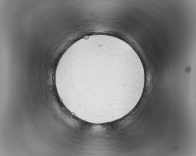 X0000111670257200908281118