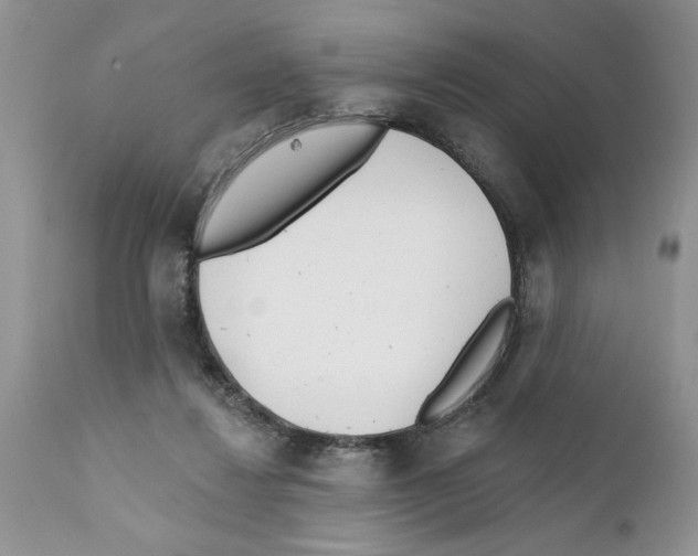 X0000111670260200908281118