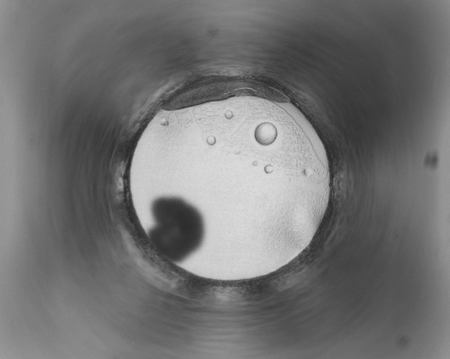 X0000111670264200908281118