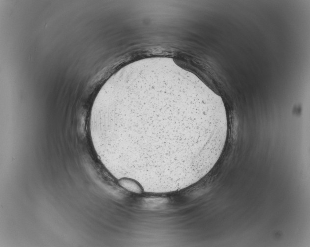 X0000111670266200908281118