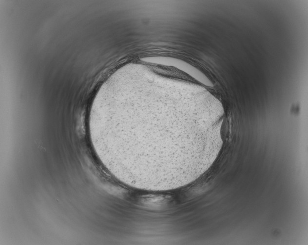 X0000111670267200908281118