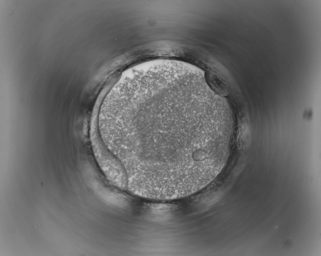 X0000111670268200908281118