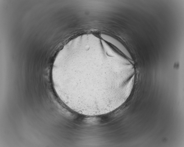 X0000111670269200908281118