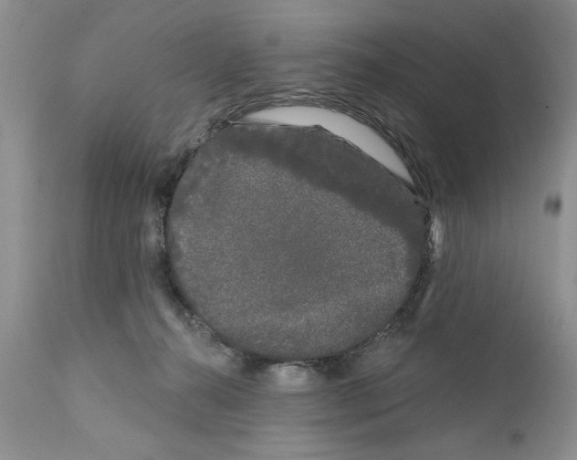 X0000111670272200908281118