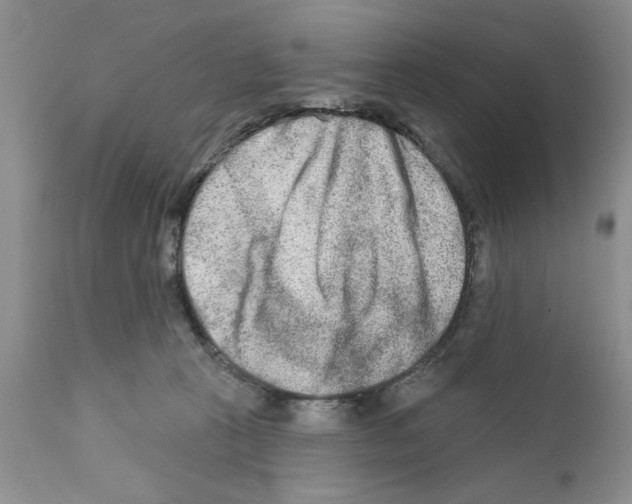 X0000111670273200908281118