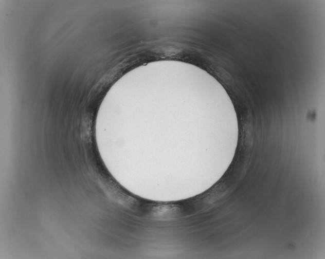 X0000111670274200908281118