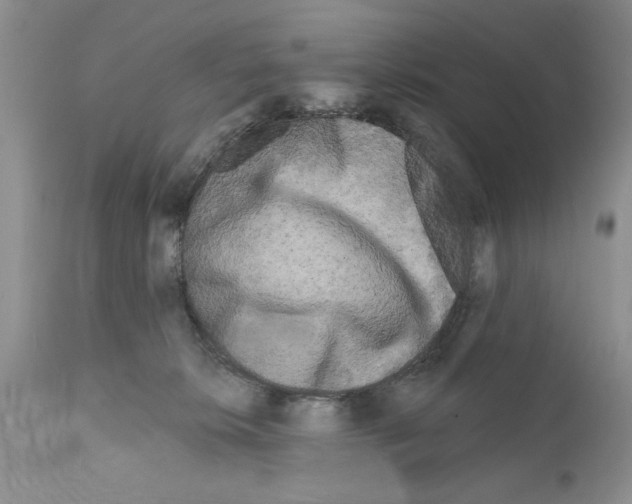 X0000111670276200908281118