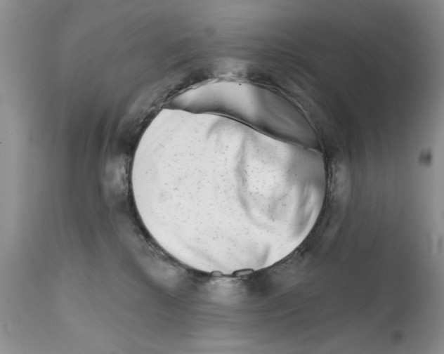 X0000111670280200908281118