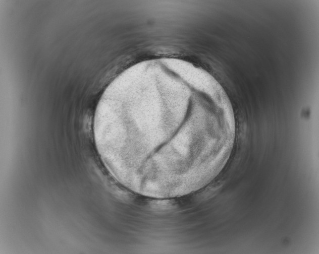 X0000111670281200908281119