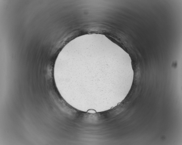 X0000111670282200908281119