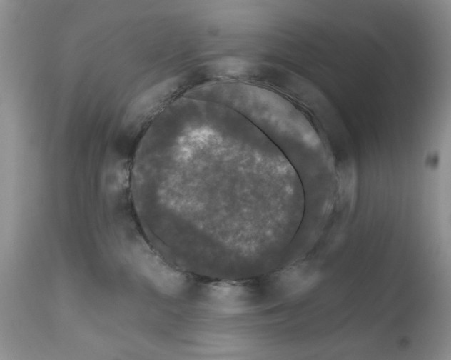 X0000111670284200908281119