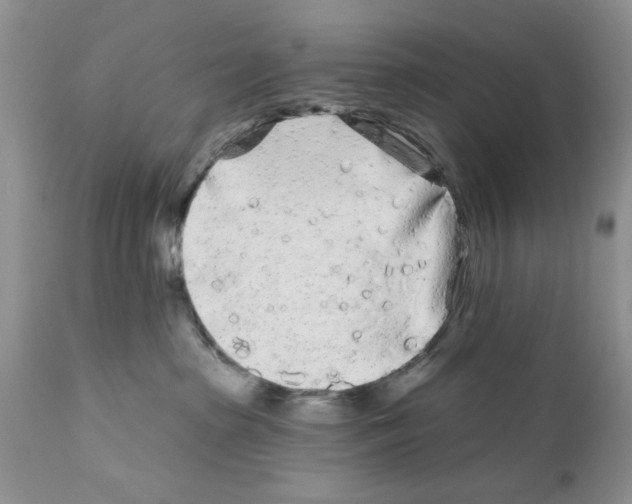 X0000111670285200908281119