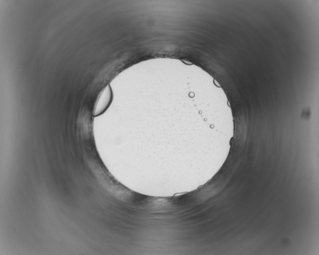 X0000111670287200908281119