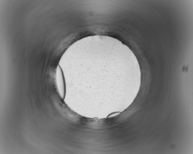 X0000111670288200908281119