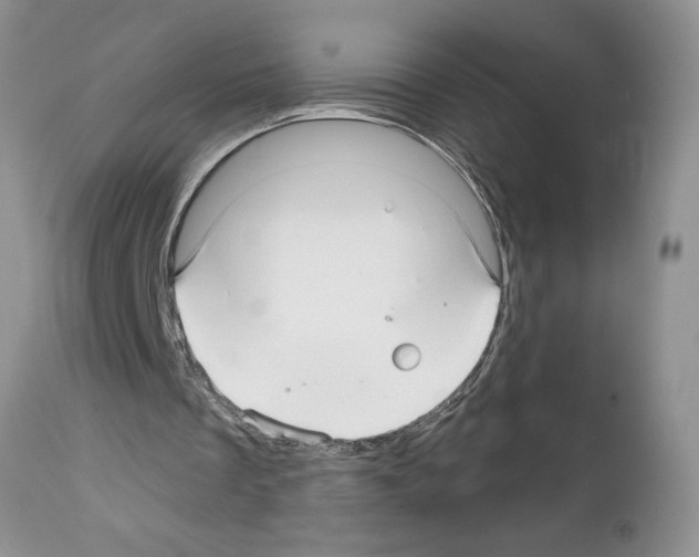 X0000111670289200908281118