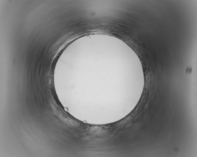 X0000111670290200908281118