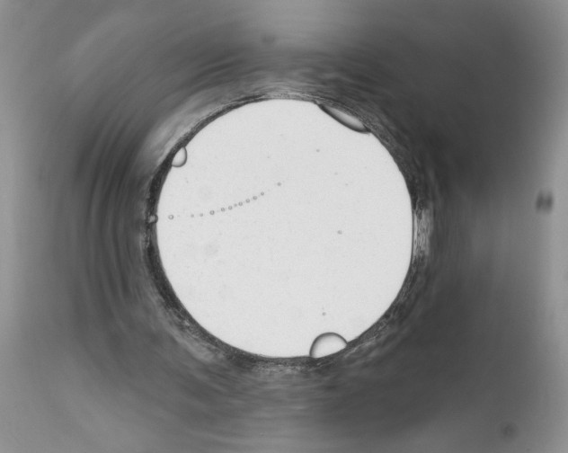 X0000111670291200908281118