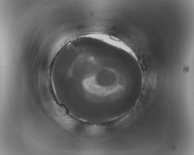 X0000111670293200908281118