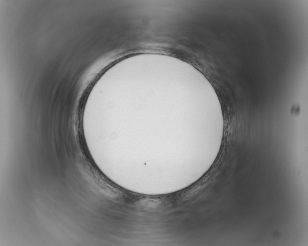 X0000111670294200908281118