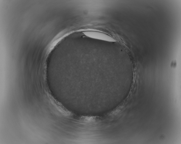 X0000111670295200908281118