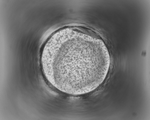 X0000111670296200908281118