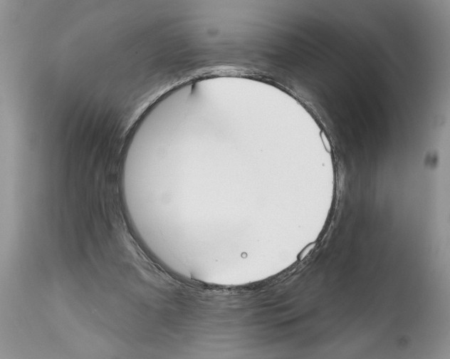 X0000111670297200908281118