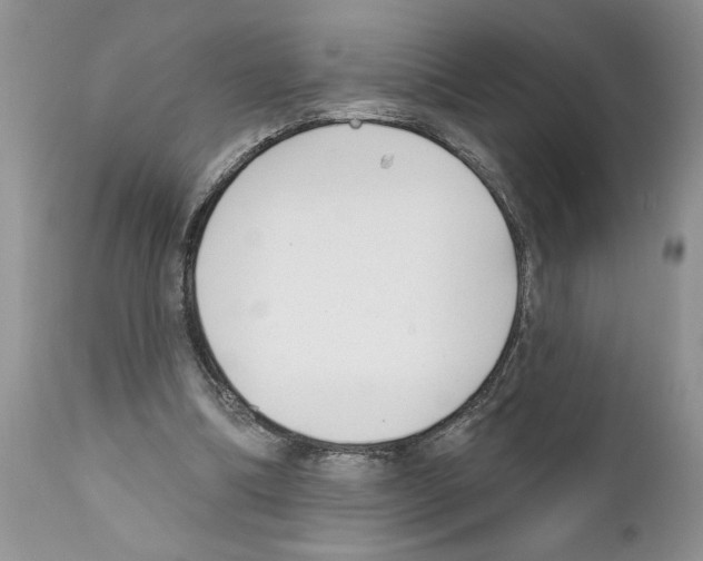 X0000111670298200908281118