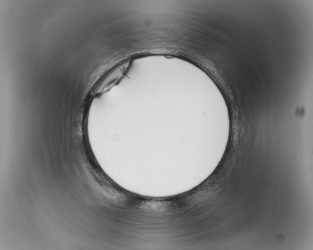 X0000111670299200908281118