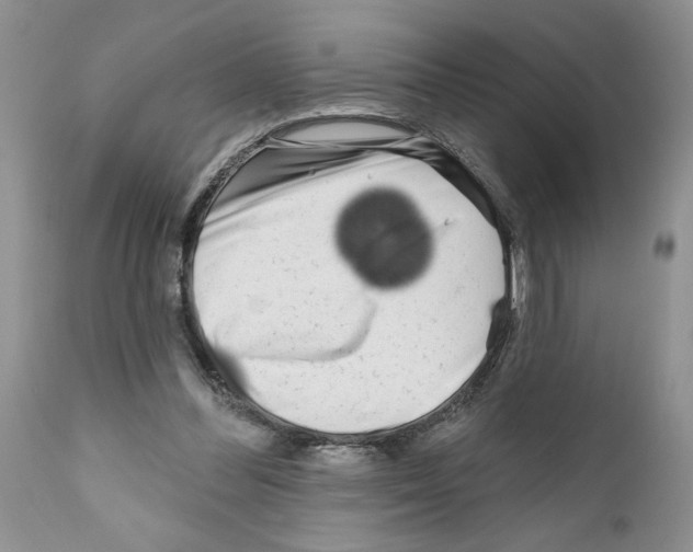 X0000111670300200908281118