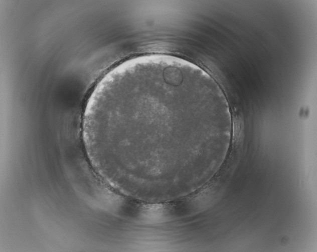 X0000111670301200908281118