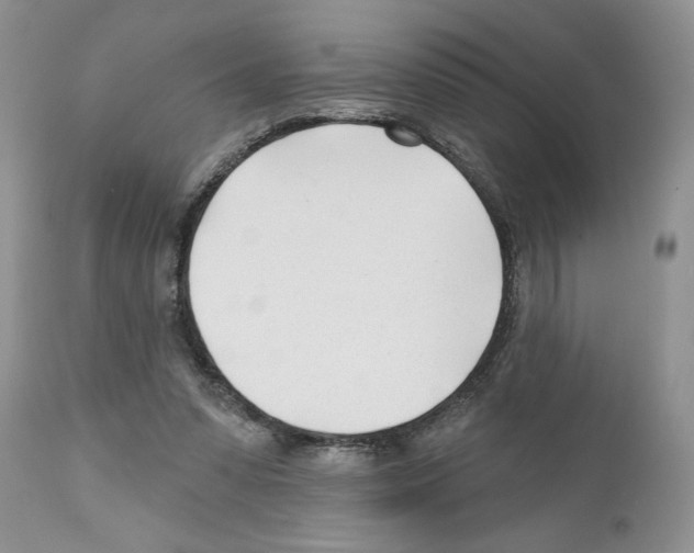 X0000111670303200908281118