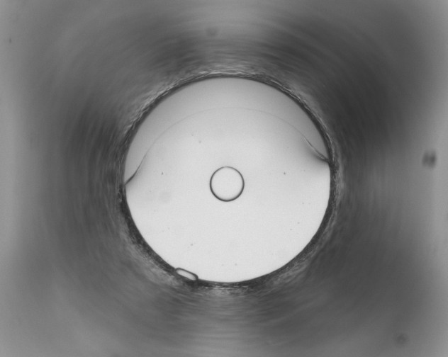 X0000111670305200908281118