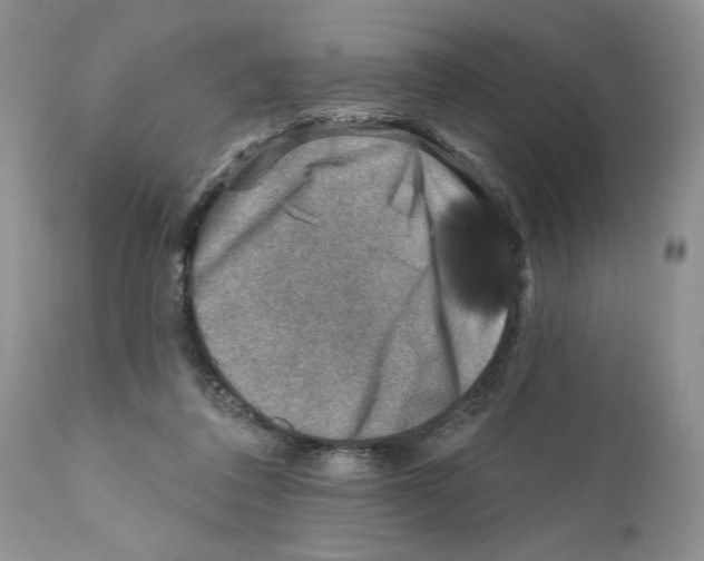 X0000111670308200908281118