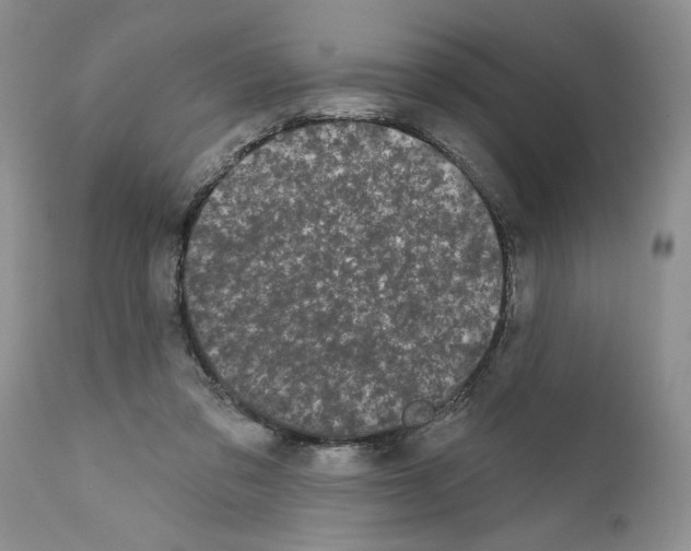 X0000111670309200908281117